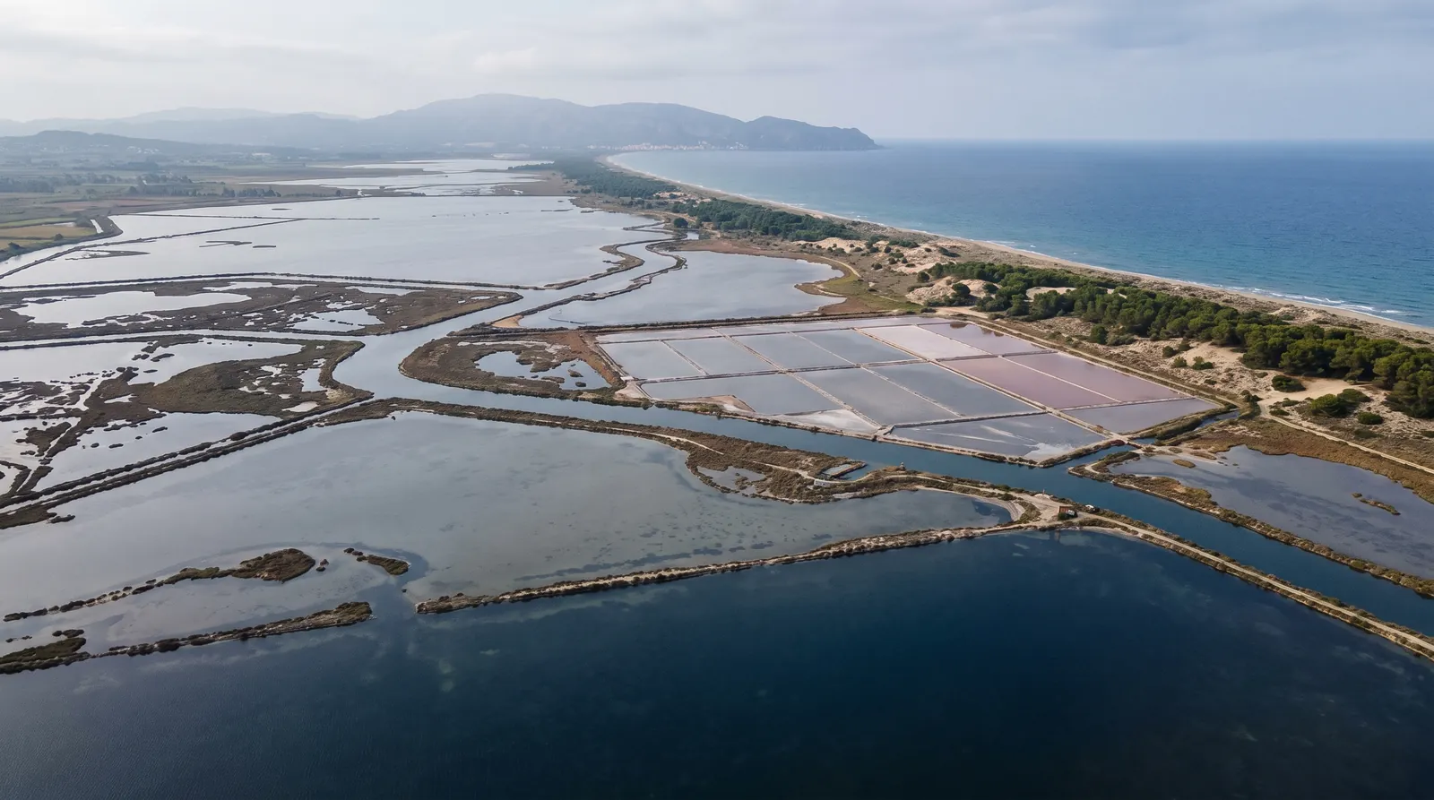 Laguna costera con marismas, balsas de salinas y una franja de dunas con pinos junto al mar, bajo un cielo nublado.